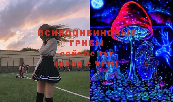 ALPHA PVP Алексеевка