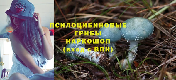 бошки Алзамай