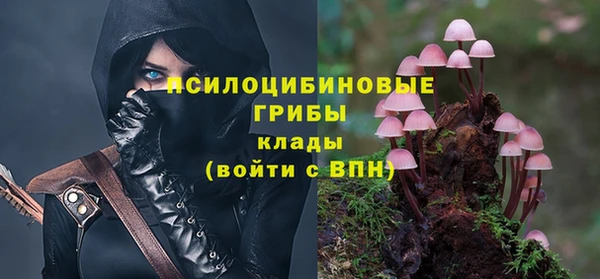 ALPHA PVP Алексеевка