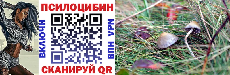 Галлюциногенные грибы ЛСД  Купить закладки  Разумное 